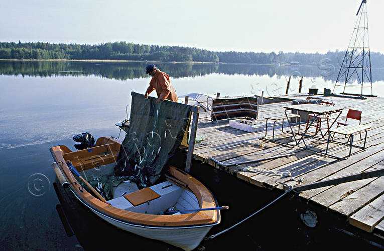 baltic herring, boat, clean, clear, fishing, fishing, fishing, fishing net, net, skt, work