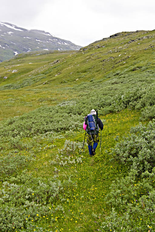 alpine hiking, back-packer, fjllng, green, national park, Padjelanta, stavgng, summer, ventyr