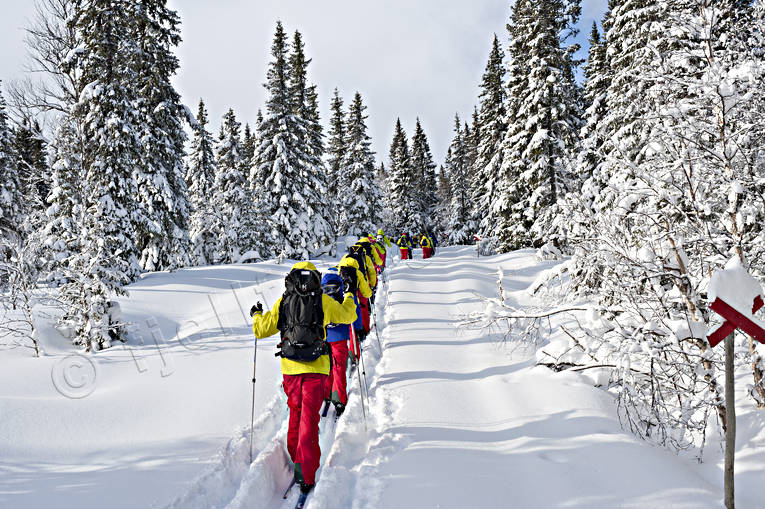 outdoor life, ski touring, skier, skiing, sport, winter, ventyr