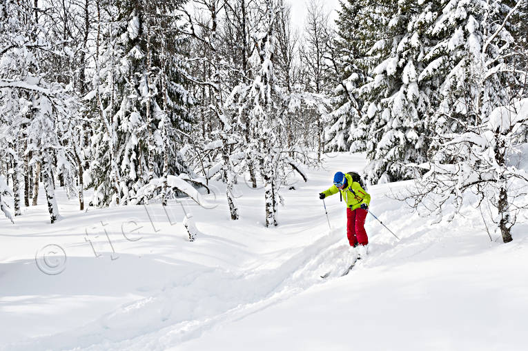 outdoor life, ski touring, skier, skiing, sport, winter, ventyr