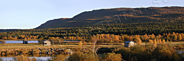 Ammarnas, autumn, autumn colours, barns, evening, landscapes, Lapland, panorama, panorama pictures, Ribovardo