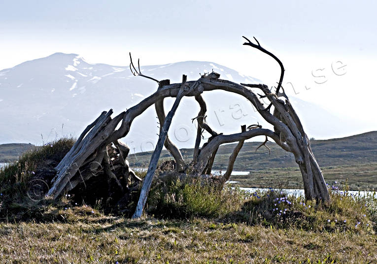 alpine, dilapidated, landscapes, Lapland, mountain, mountain top, mountains, national park, old, Padjelanta, ramshackle, reindeer horn, sami culture, summer, teepee, teepee, vergiven