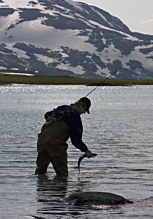 angling, char fishing, fishing, landscapes, Lapland, mountain, mountain fishing, mountain lake, Padjelanta, reel, spin fishing
