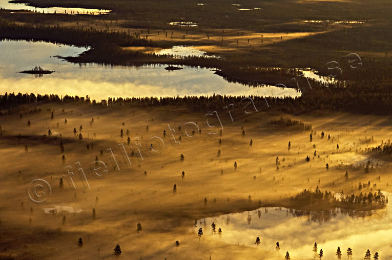 aerial photo, aerial photo, aerial photos, aerial photos, ambience, ambience pictures, atmosphere, autumn, bog soil, cloud, drone aerial, drnarfoto, fog, gold, landscapes, Lapland, mire, moory soil, season, seasons, Sweden, uninhabited, wasteland, wilderness, woodland, yellow