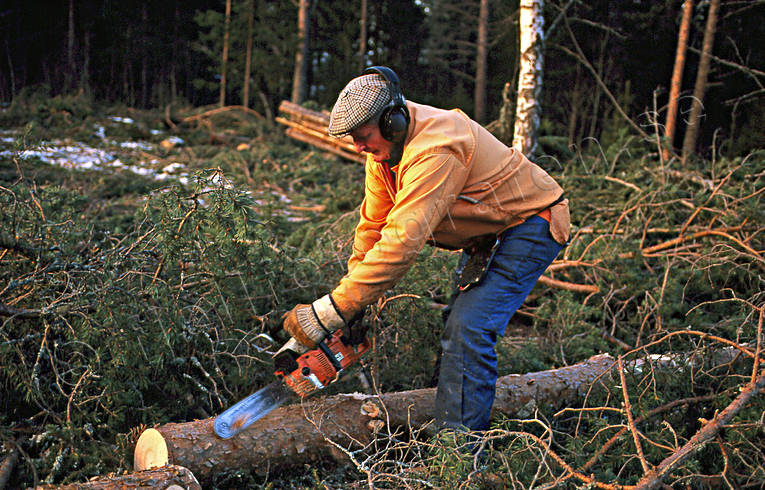 chain saw, forest worker, forest worker, forestry, timber, woodcutter, woodland, work