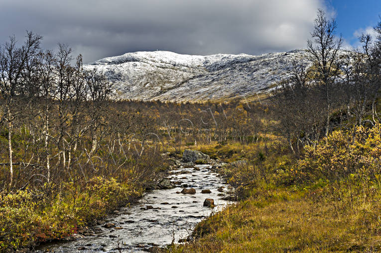 Areskutan, autumn, autumn colours, birch-wood, creek, fresh snow, Jamtland, landscapes, mire, mountain, mountain stream, white