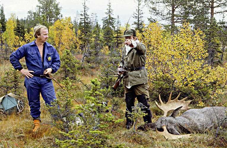 bag, bull, hunting, hunting moose, male moose, moose, moose hunter, moose hunting, ox, lgoxe