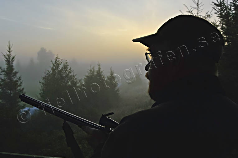 allmnjakt, ambience, ambience pictures, atmosphere, dawn, fog, fox hunting, hunter, hunting, jaktpass, morning, passage, shooters