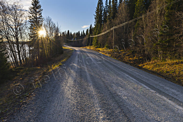 autumn, communications, gravel road, husvgen, Jamtland, land communication, landscapes, road, sunrise
