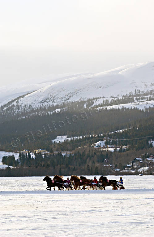 Are, Are lake, coachmen, horses, ice trot, sport, trot, various, winter