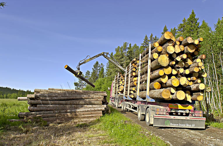communications, forest motor road, forestry, land communication, loading, timber, timber truck, truck, woodland, work