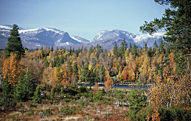 autumn, autumn colours, Jamtland, landscapes, Lunndorrsfjallen, mountain, Tosssen