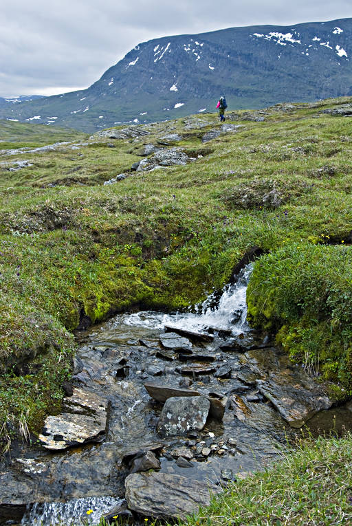 alpine hiking, clean, creek, klart, mountain stream, national park, Padjelanta, run(s), running, summer, vatten, water, ventyr