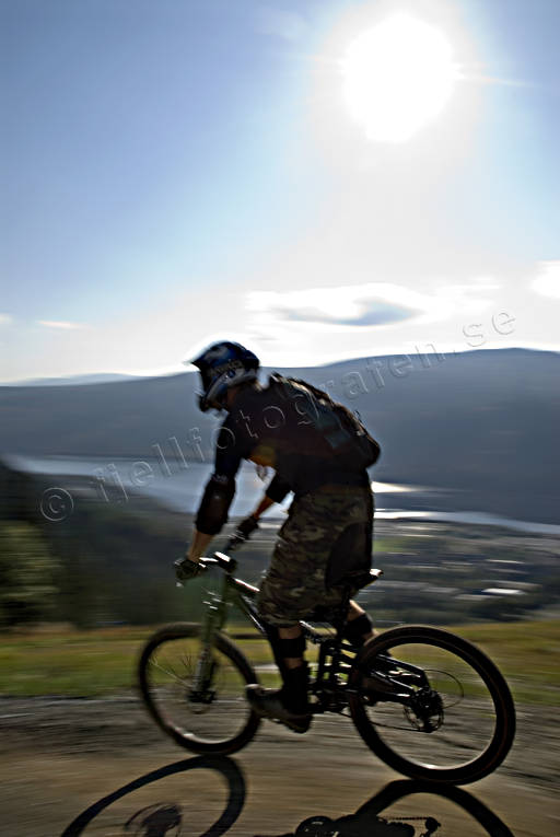 bicyclist, bike, bike, biking, downhill, mountainbike, speed, speed, summer, ventyr
