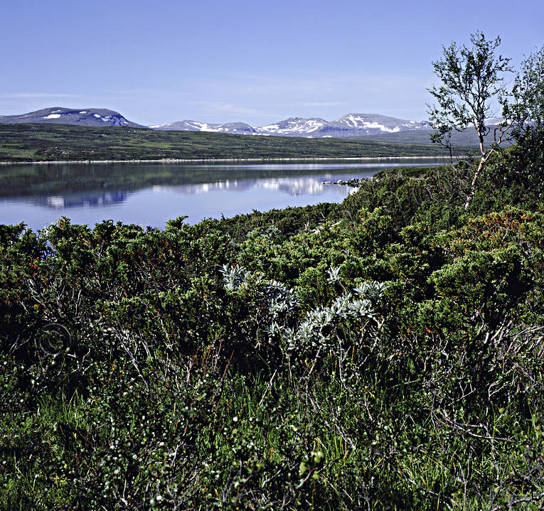 Helags mountains, Jamtland, landscapes, mountain, mountain lake, Nedals lake, Skadorsfjella, summer