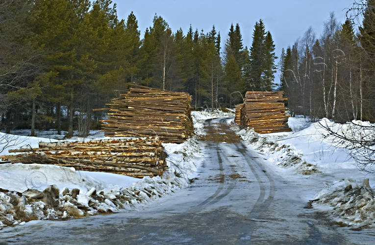 cartway, communications, forest motor road, forestry, land communication, pile of timber, pulp wood, road, timber, timber, timber stock, winter road, woodland, work