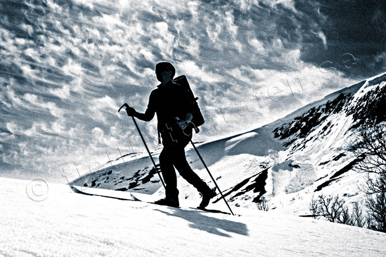 backcountry skiers, down-hill running, mountain, nature, outdoor life, ski touring, sport, ventyr