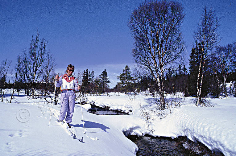 backcountry skiers, ski touring, skies, skiing, spring-winter, wild-life, winter, ventyr