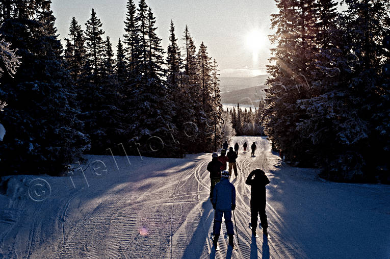 down-hill running, Jamtland, landscapes, playtime, skier, winter, woodland, ventyr
