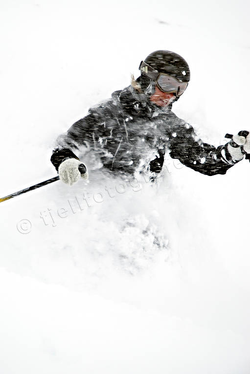 deep snow, down-hill running, fresh snow, loose snow, offpist, powder, ski, ski, ski fun, skies, skiing, snow, sport, winter