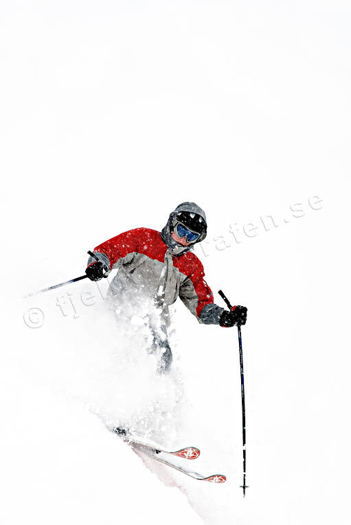 deep snow, down-hill running, fresh snow, loose snow, offpist, powder, ski, ski, ski fun, skier, skies, skiing, snow, sport, winter