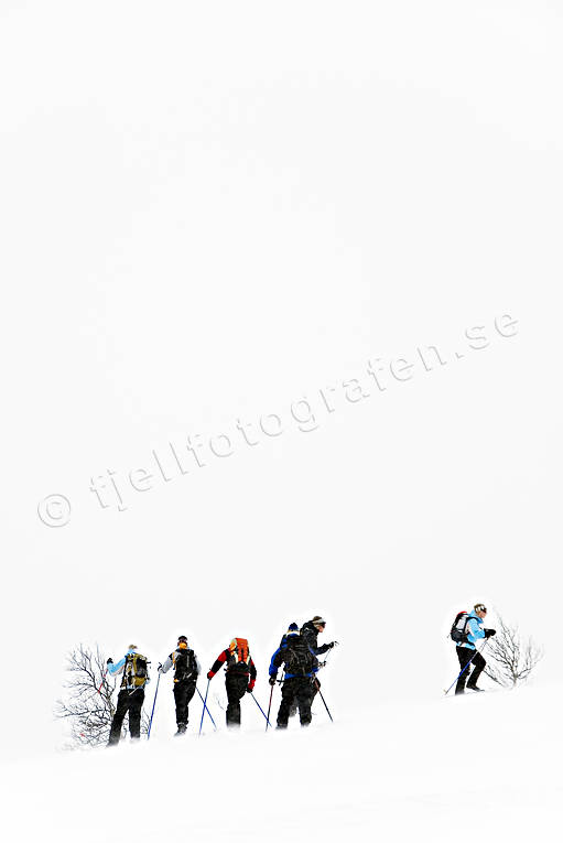 backcountry skiers, down-hill running, fog, playtime, ski touring, skier, skies, skiing, sport, storm, track, winter