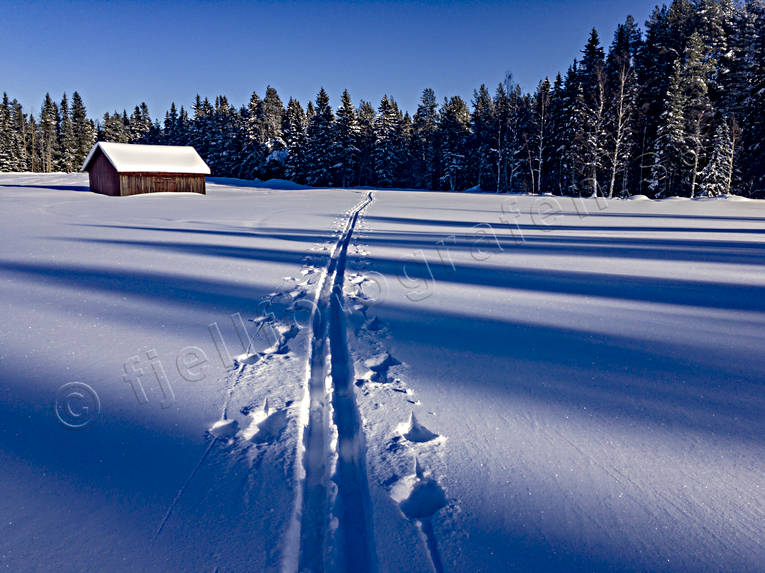 barn, deep snow, friluftlsliv, Jamtland, landscapes, season, seasons, ski touring, skiing, skiing tracks, snow, tracks, winter, ventyr