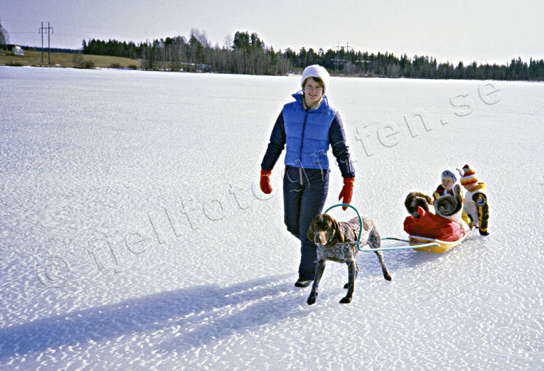 boys, brothers, children, dogsled ride, fishing, fishing through ice, german shorthaired pointer, ice, mother, outdoor, outside, sled, sled dog, sled dogs, sledge dog, sledge dogs, sledge trip, spring-winter, spring-winter ice, wild-life, winter, winter sport, ventyr