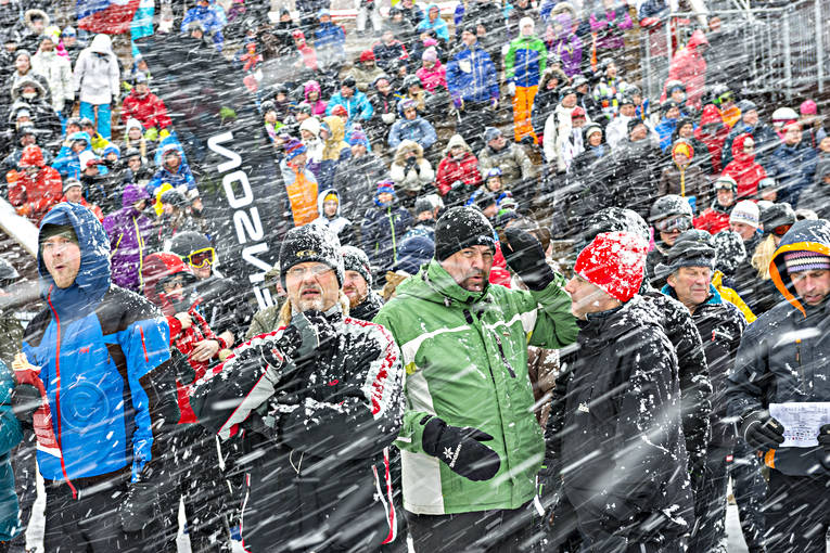 audience, blsigt, cold, down-hill running, Jamtland, people, skiing contest, snow, snow storm, snflingor, sport, utfrskning, winter, skdare
