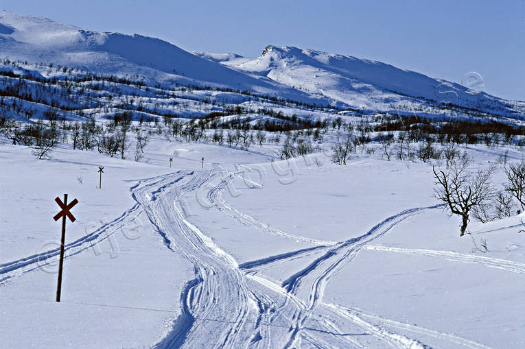 Friningen, Jamtland, landscapes, mountain, Saljaren, snowmobile trails, track, track mark, winter