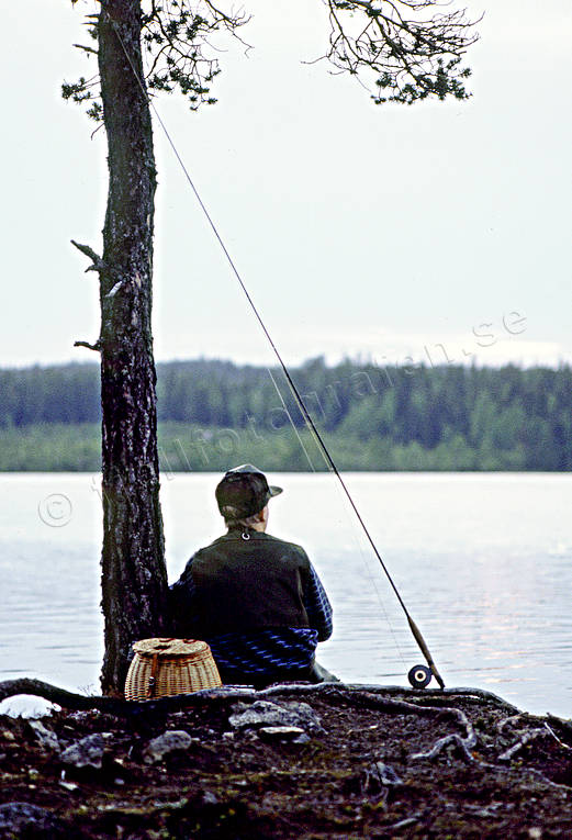 angling, fishing, flyfishing, Landom lake, sunset, swimfeeder