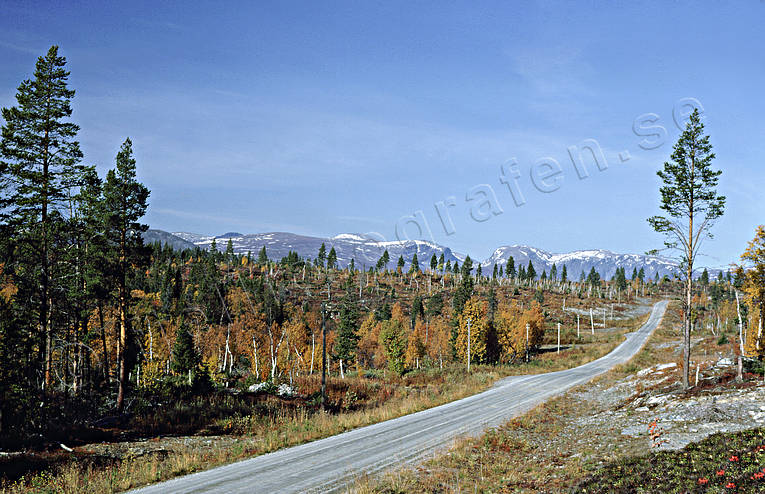 autumn, autumn colours, Jamtland, landscapes, Lunndorrsfjallen, mountain, road, Tosssen