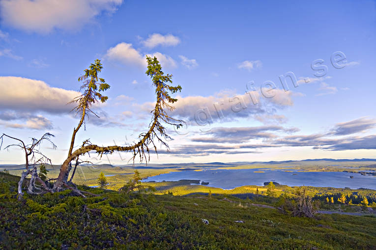 Arjeplog, blue, evening sun, galtispuoda, Hornavan, lake, landscapes, Lapland, summer, trdgrns, view, view