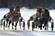 Are, Are lake, cold-blooded, horse, horses, ice trot, sport, travhstar, travsport, trot, various, winter