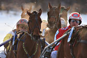 Are, Are lake, horse, horses, ice trot, sport, travhstar, travsport, trot, various, warm blooded, winter