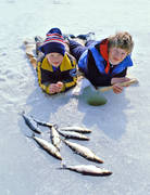 angling, fishing, fishing through ice, ice fishing, ice fishing, ice fishing, jig, dap, whitefish, whitefish fishery, winter fishing