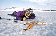 angling, char, fishing, ice fishing, ice fishing, ice fishing, kikmeta, mountain fishing, winter fishing