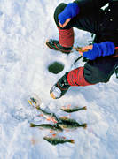 angling, boy, fishing, ice fishing, ice fishing, Landom lake, perch, perch fishing, winter fishing