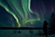 nature, northern lights, polar lights, polar night, season, seasons, sky, winter