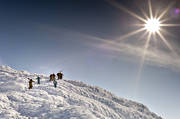 Areskutan, down-hill running, mountain, offpist, playtime, skier, skies, skiing, sport, winter, ventyr