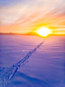 canvastavla, fototavla, Jamtland, landscapes, skiing tracks, snow, sunset, tavla, winter